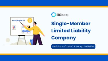 what is a single member llc what is a single member llc