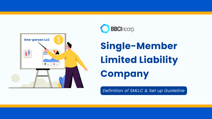 what is a single member llc