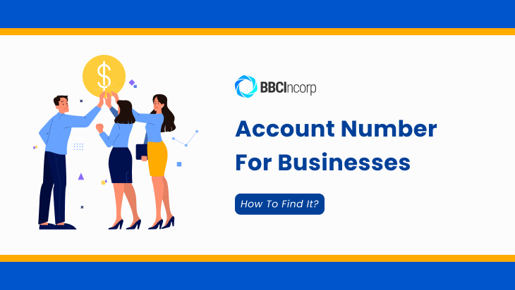 what is an account number