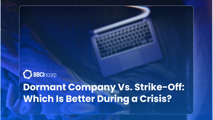 dormant company vs strike off