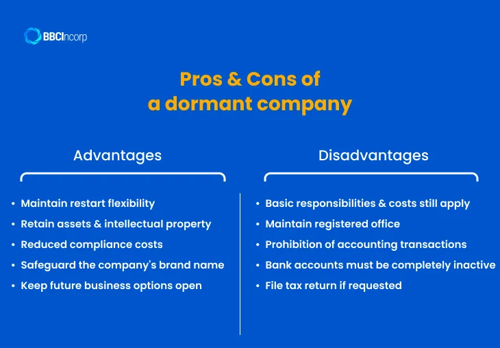 Pros and cons of a Hong Kong dormant company