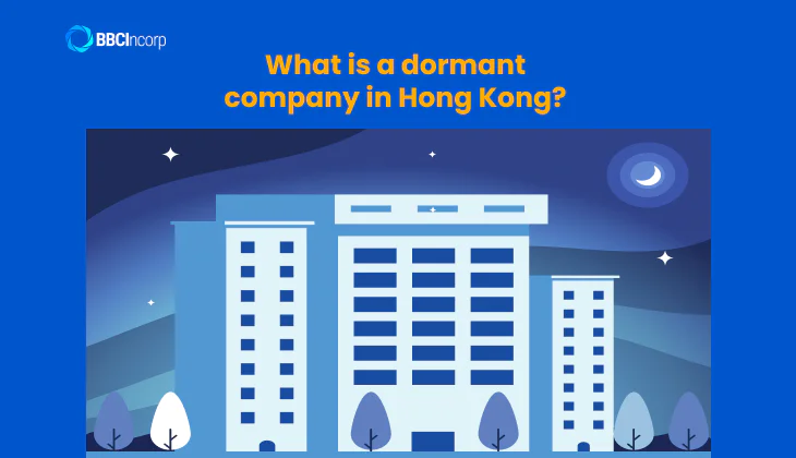 What is a dormant company in Hong Kong?