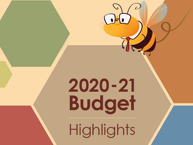 Hong Kong Budget 2020/2021