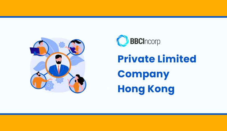 private limited company
