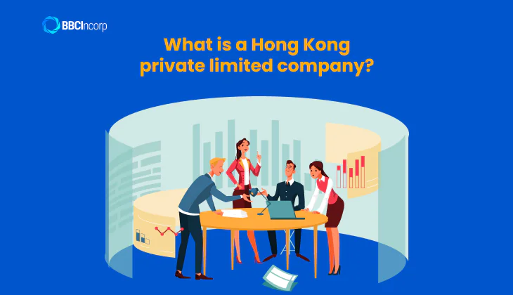 What is a Hong Kong private limited company?