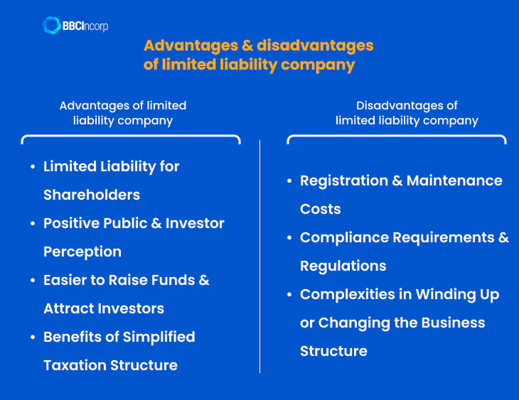 Advantages and disadvantages of limited liability company
