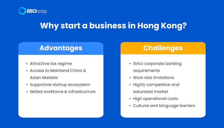 Advantages and challenges of starting a business