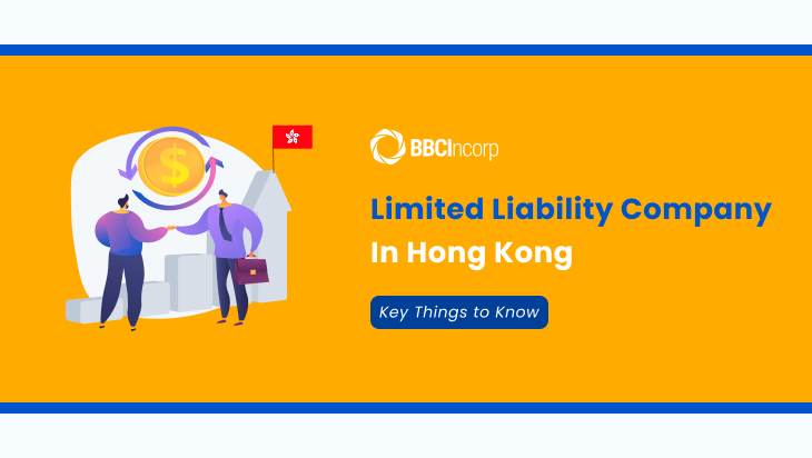 limited liability company limited liability company