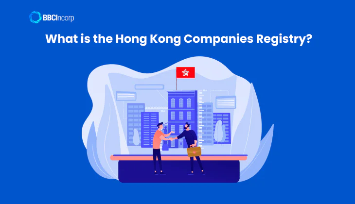 What is the Hong Kong Companies Registry