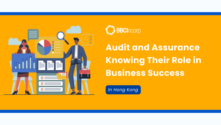 Audit and assurance