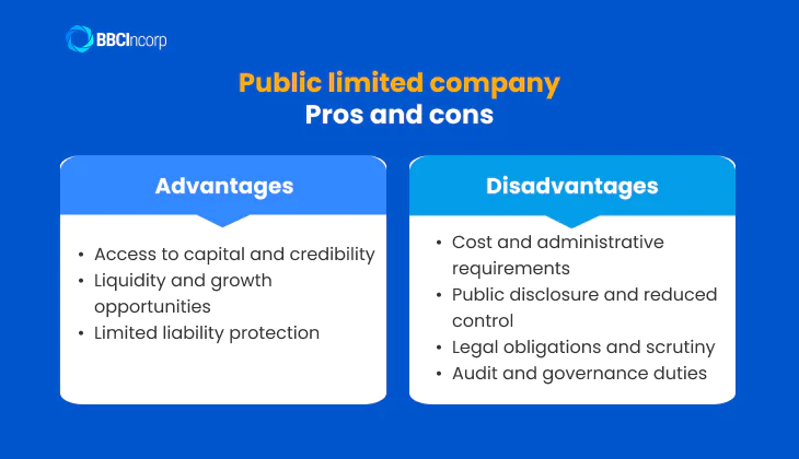 benefits and drawbacks of public limited company