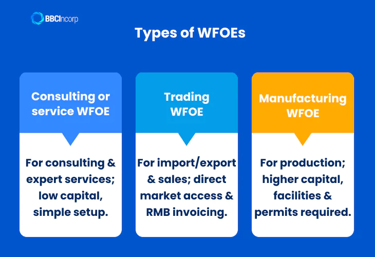 Types of WFOEs china