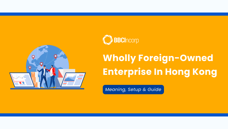 wholly foreign-owned enterprise