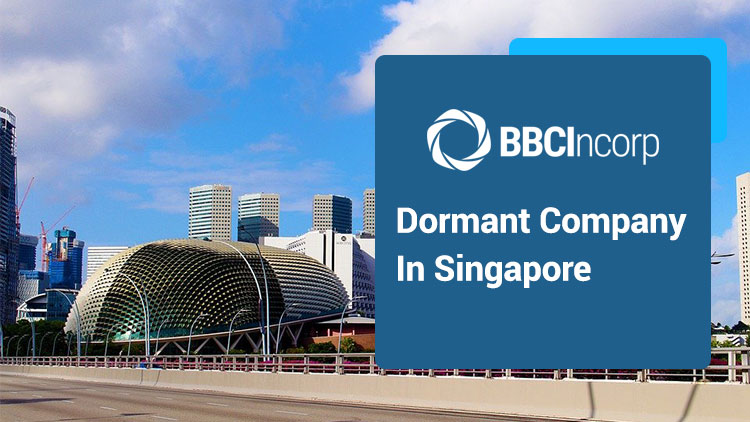 Everything You Need to Know About Dormant Company in Singapore