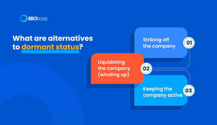 Alternatives to Singapore dormant company