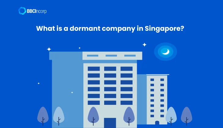 What is a dormant company in Singapore? Dormant company: meaning and definition