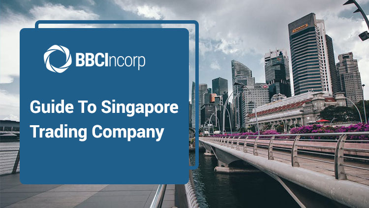 A Thorough Guide to Trading Company in Singapore