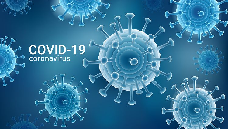 placeholder placeholder