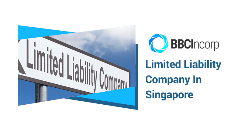 A Guide to Limited Liability Company in Singapore