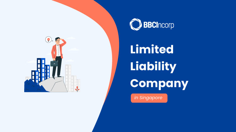 Singapore Limited Liability Company