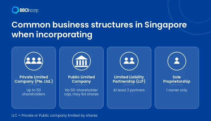 Common business structures in Singapore when incorporating