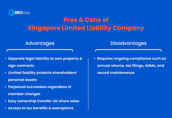 Advantages and disadvantages of a Singapore LLC
