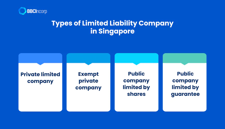 Types of limited liability company in Singapore