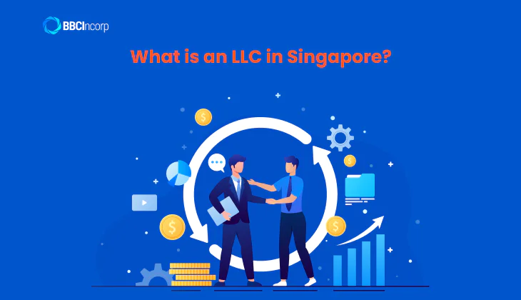 What is an LLC in Singapore?
