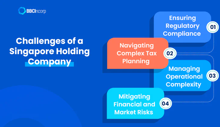 Challenges of a Singapore holding company