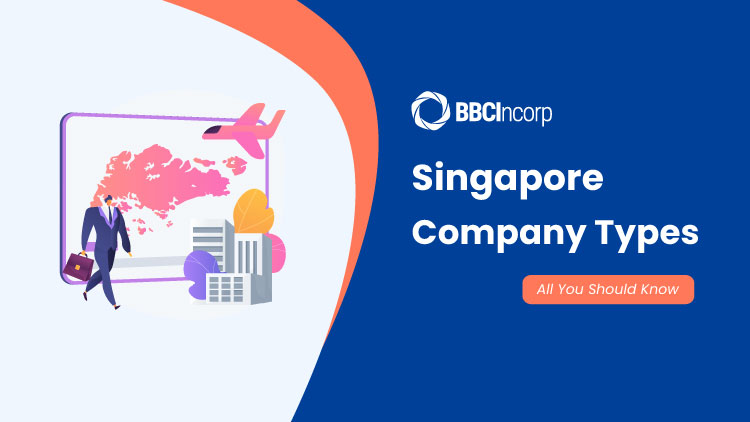company types in Singapore