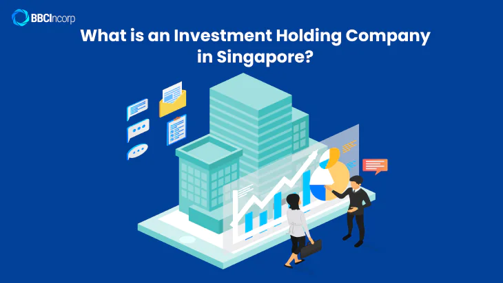 Investment holding companies