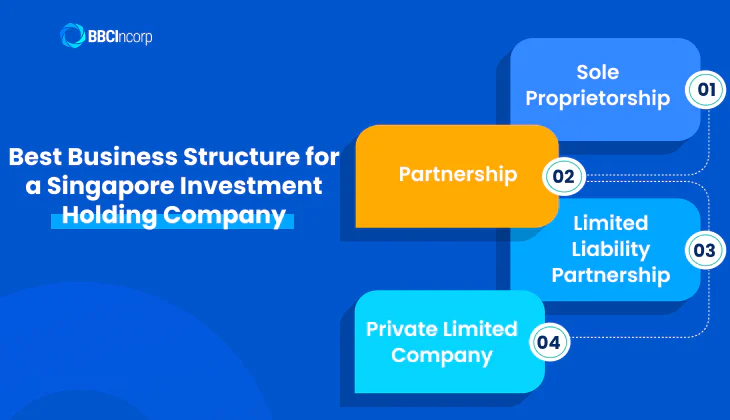 Investment holding company singapore