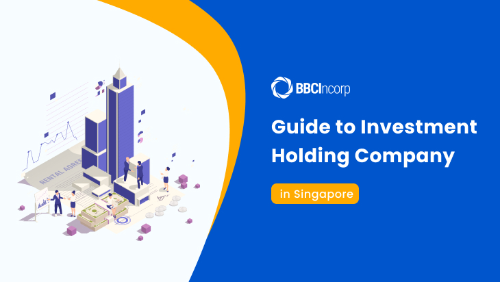 Investment holding company