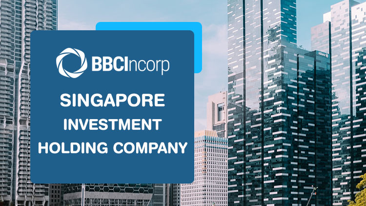 singapore investment holding company