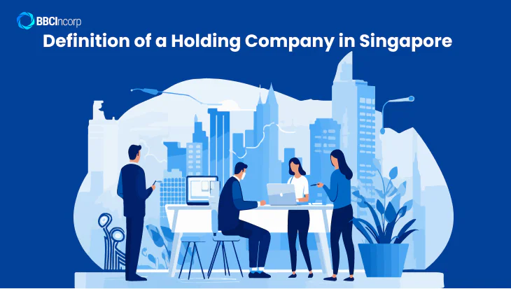 What is holding company in Singapore