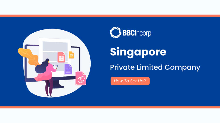 Singapore private limited company set up