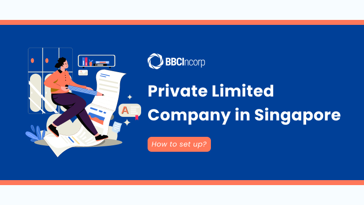 private limited company singapore