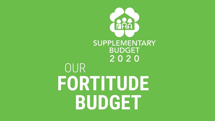 singapore-fortitude-budget