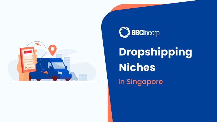 Singapore Dropshipping Niches