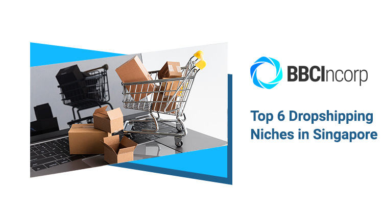Top dropshipping niches in Singapore