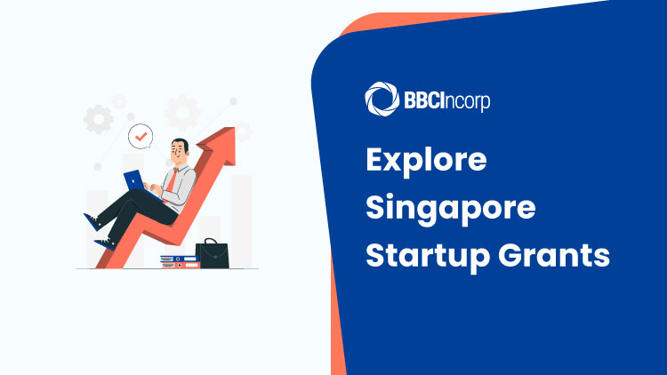 Singapore Startup Grants