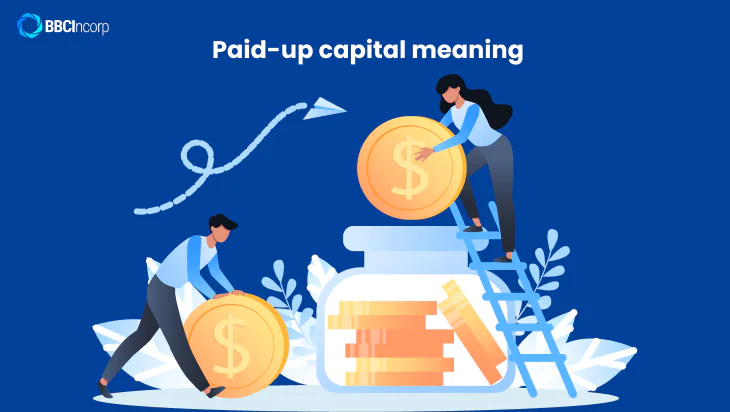 Paid up capital meaning