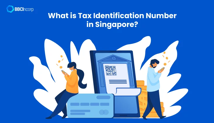 What is Tax Identification Number in Singapore