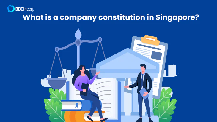 What is a company constitution in Singapore