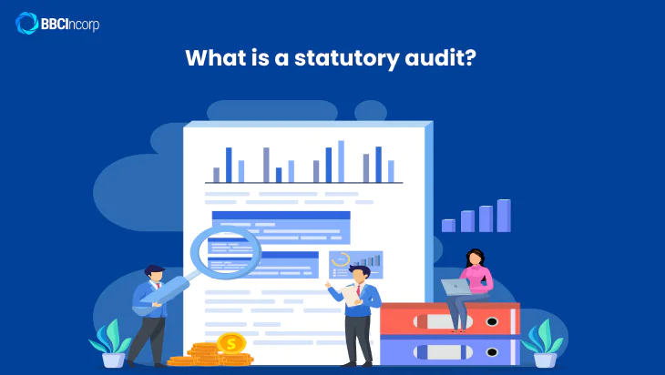 What is a statutory audit?