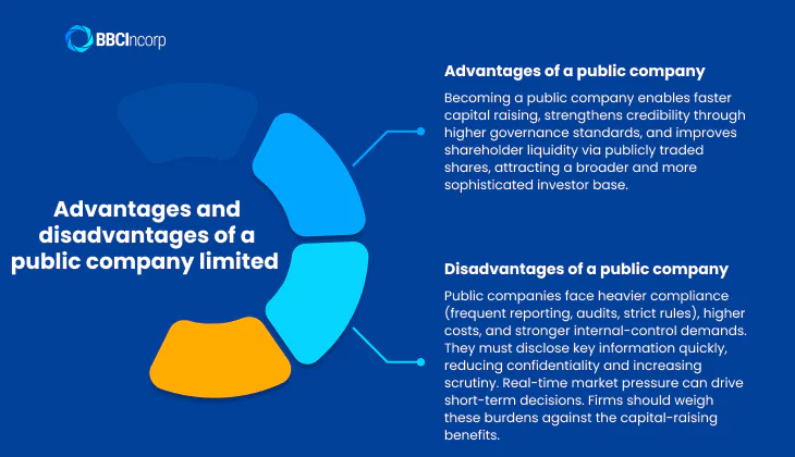 Advantages and disadvantages of a public company limited