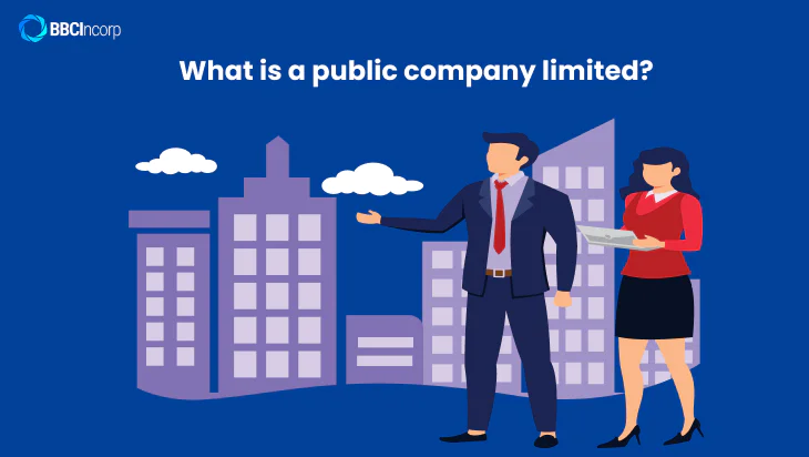What is a Public Limited Company