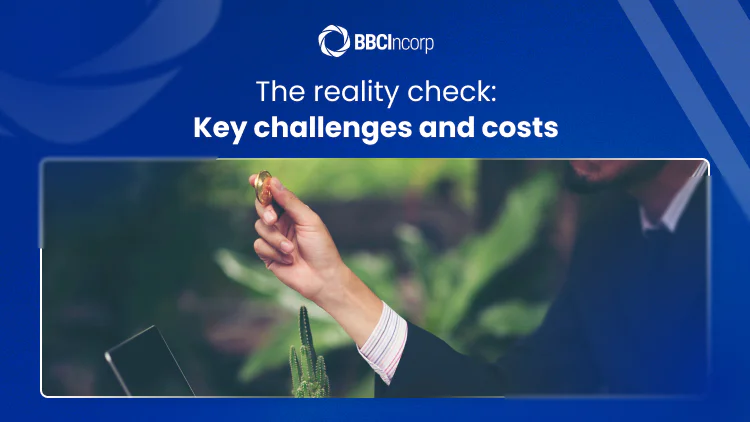 The reality check: Key challenges and costs