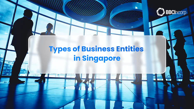Types of business entities in Singapore