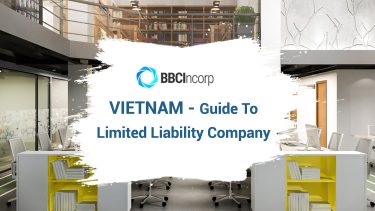 Guide To Limited Liability Company